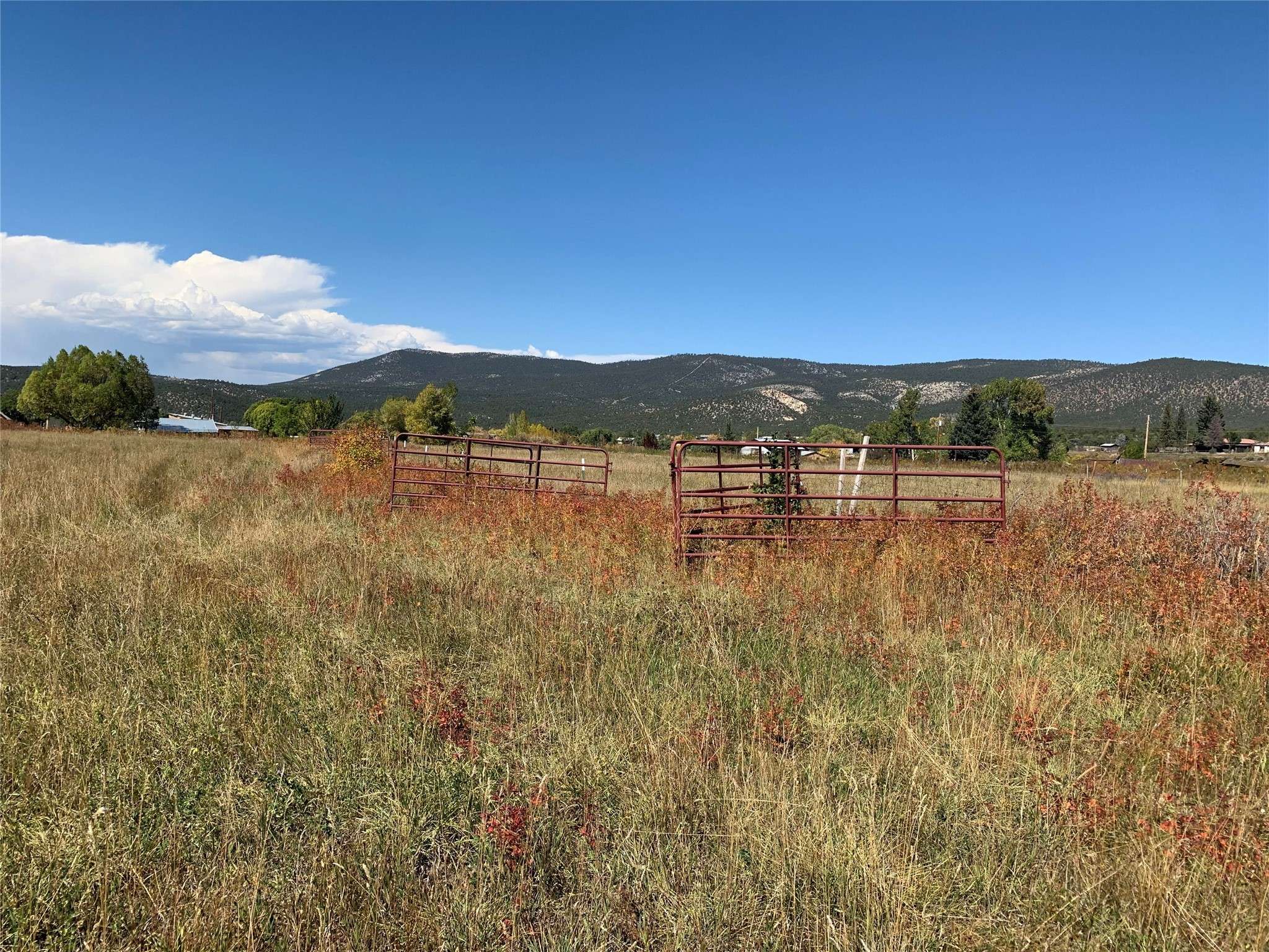 Rio Lucio, NM 87553,0 Roybal