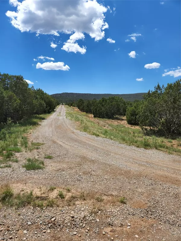 Tijeras, NM 87059,XXXX Brannon LOOP