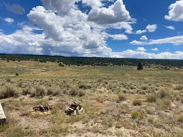 Lumberton, NM 87528,0 357