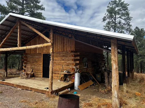 Chama, NM 87520,50 Fawn Drive