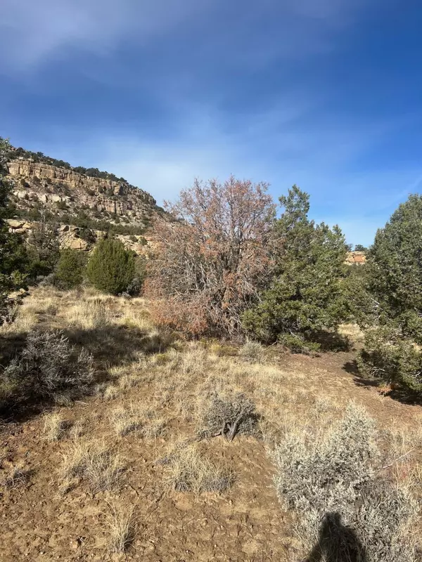 Navajo Dam, NM 87412,0 Navajo City Acres