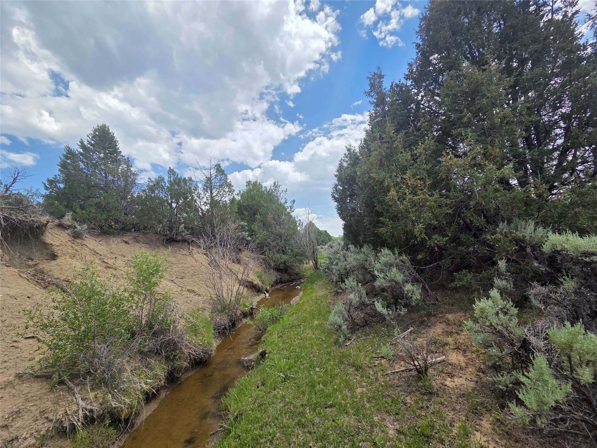 0 Hwy 64, Tierra Amarilla, NM 87575