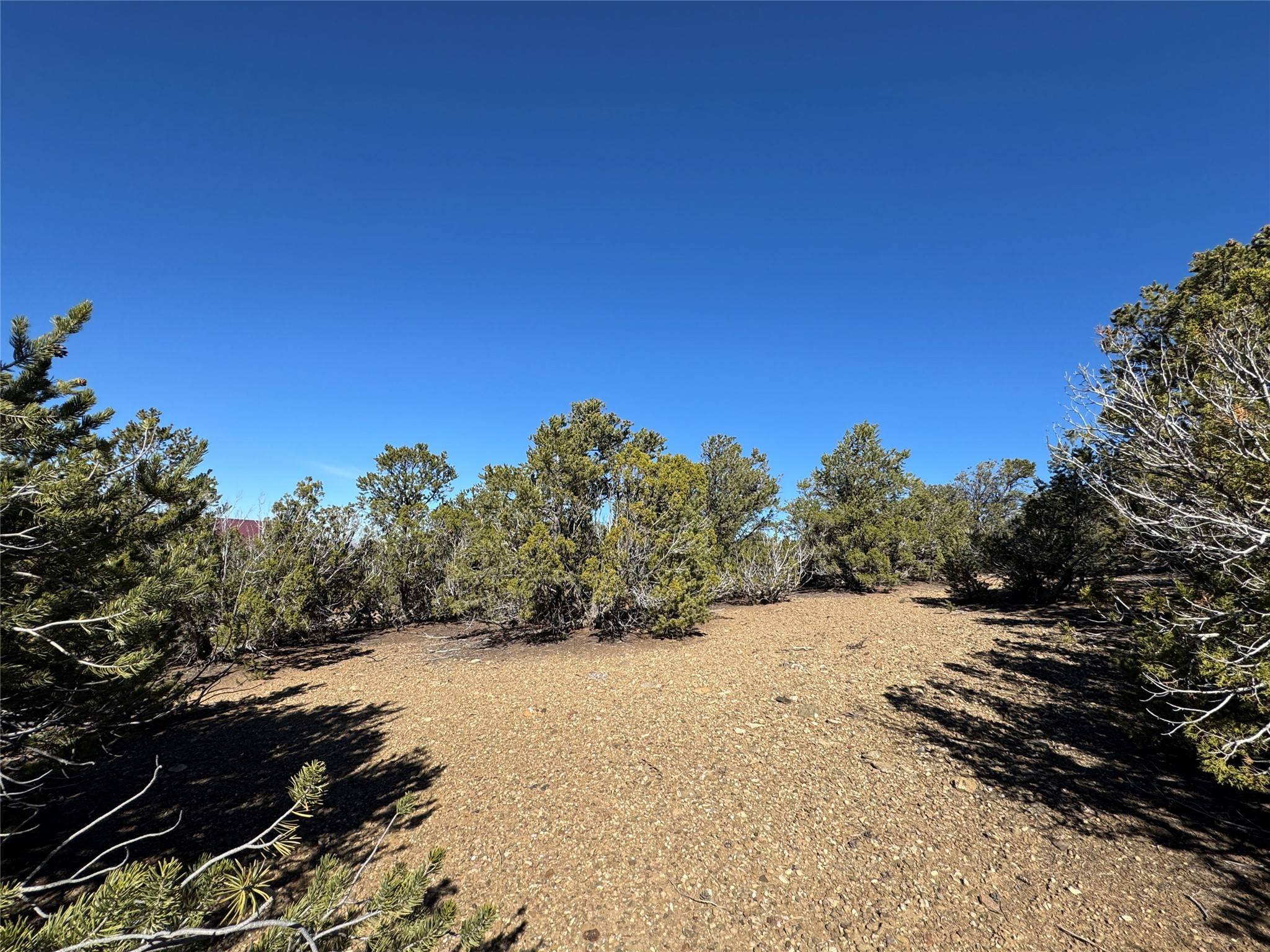 Taos, NM 87571,Tract 4 Verde Road