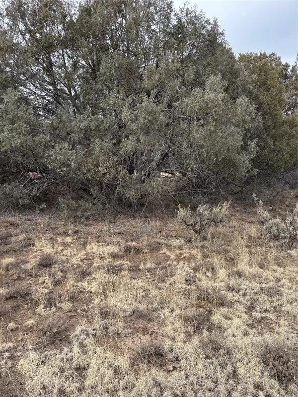 Los Ojos, NM 87551,Lots 2 & 3 Parkview Hills