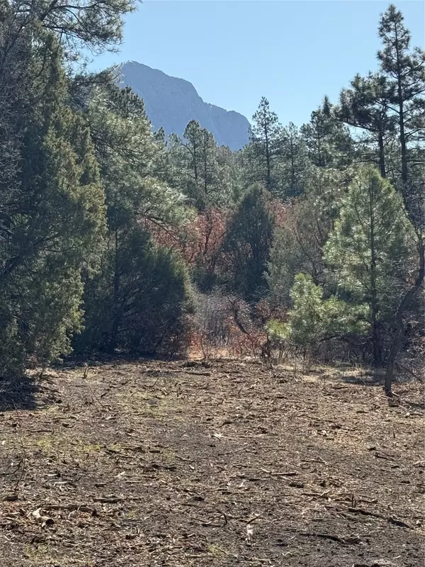 67 PD 1755, Chama, NM 87520