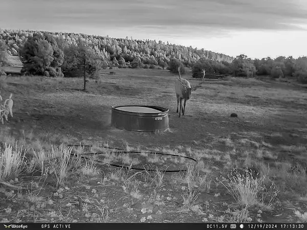Santa Fe, NM 87508,TBD Gabaldon Lane