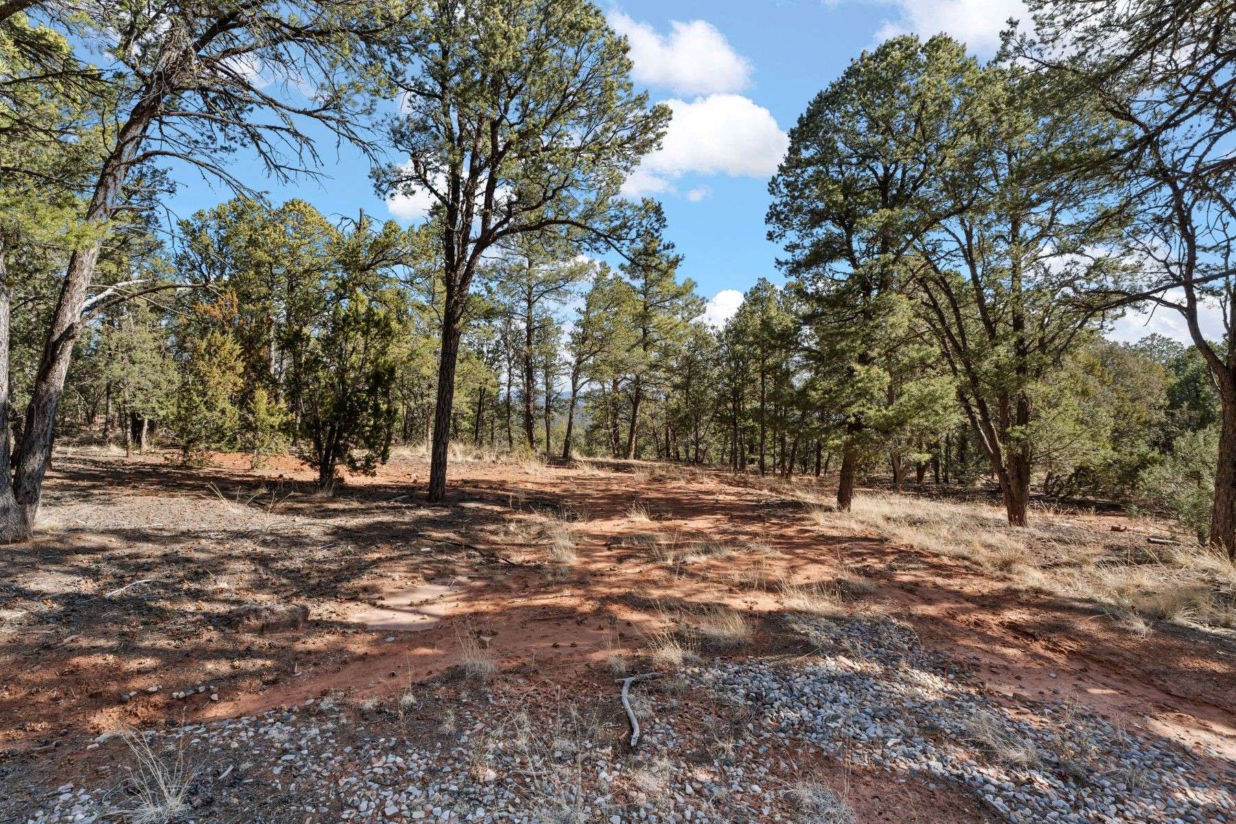 Glorieta, NM 87535,26 Hummingbird LN