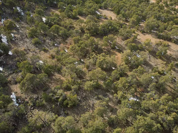 Santa Fe, NM 87505,28 and 29 Sena Lane #Lot 4 and 5