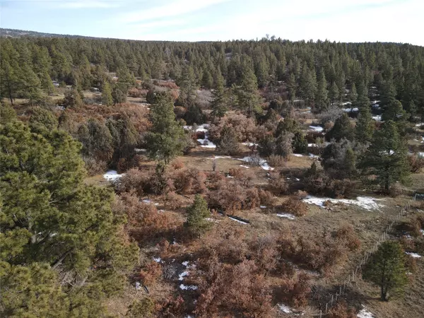 Cebolla, NM 87518,TBD CR 310