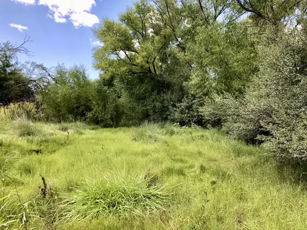 Silver City, NM 88061,Pitchfork Ranch