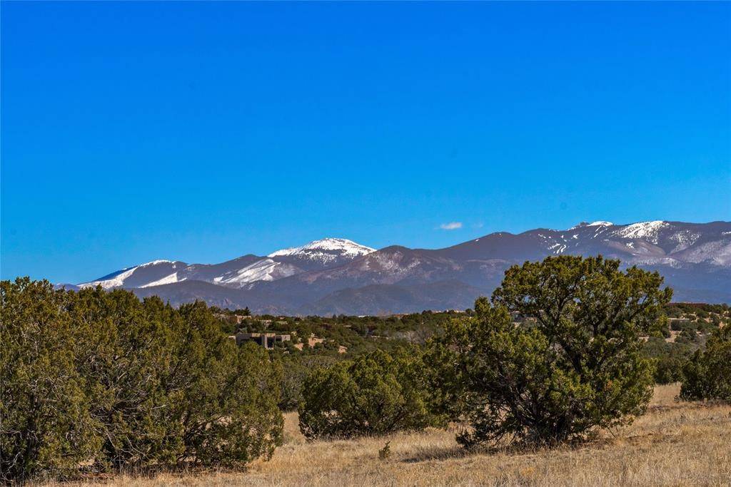 Santa Fe, NM 87506,61 Tierra Antigua