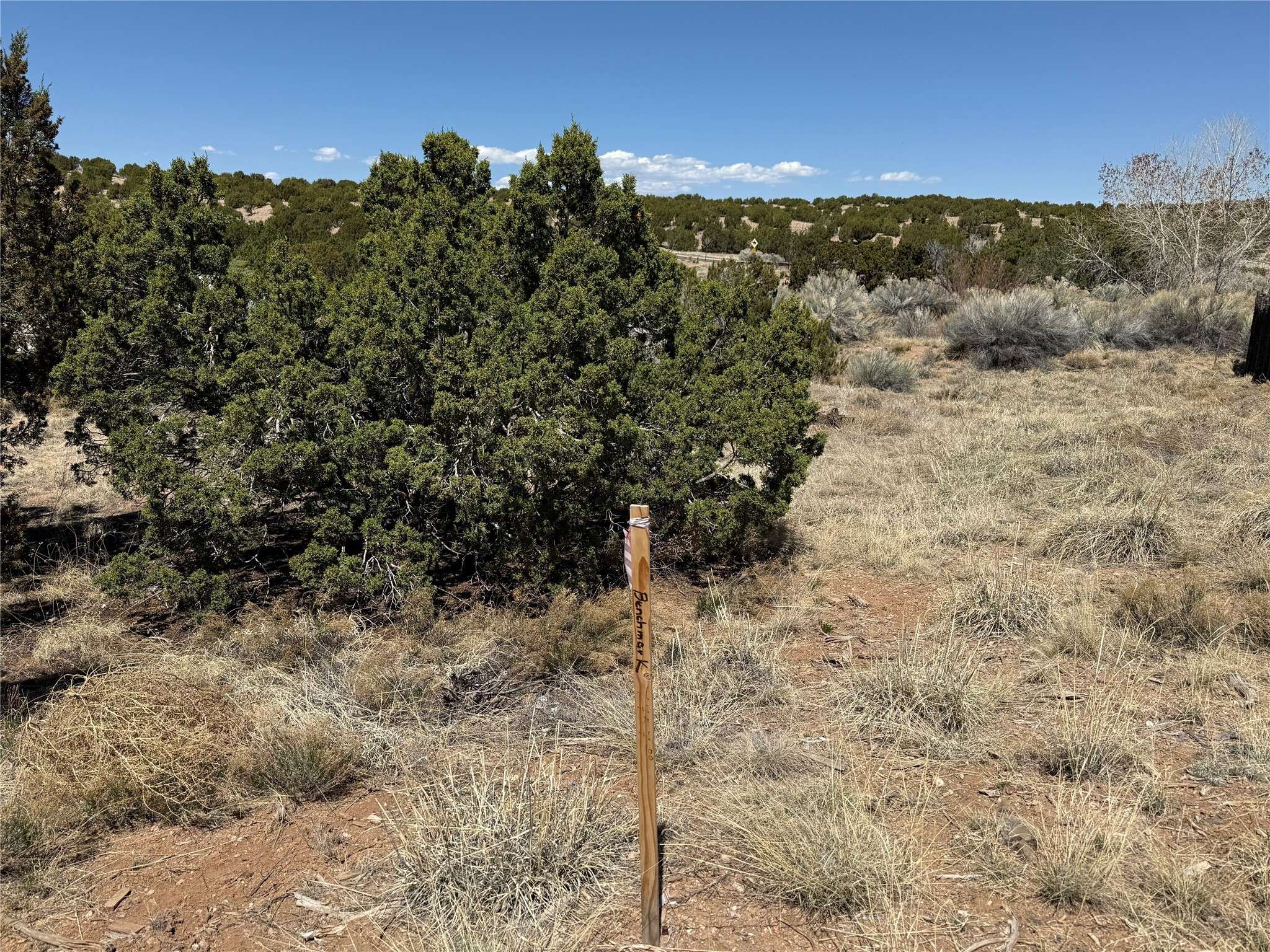 Santa Fe, NM 87507,147 Avenida Frijoles