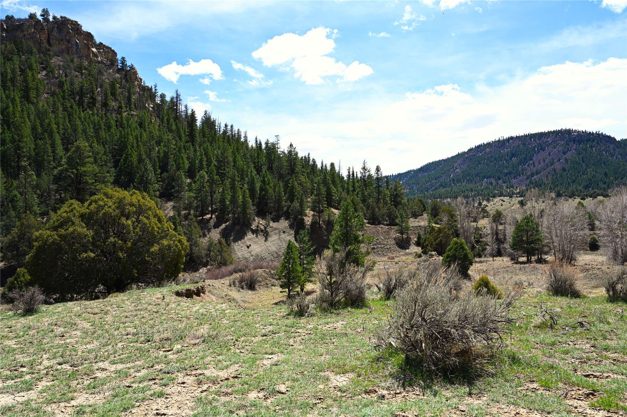 Lumberton, NM 87528,TBD CR 352
