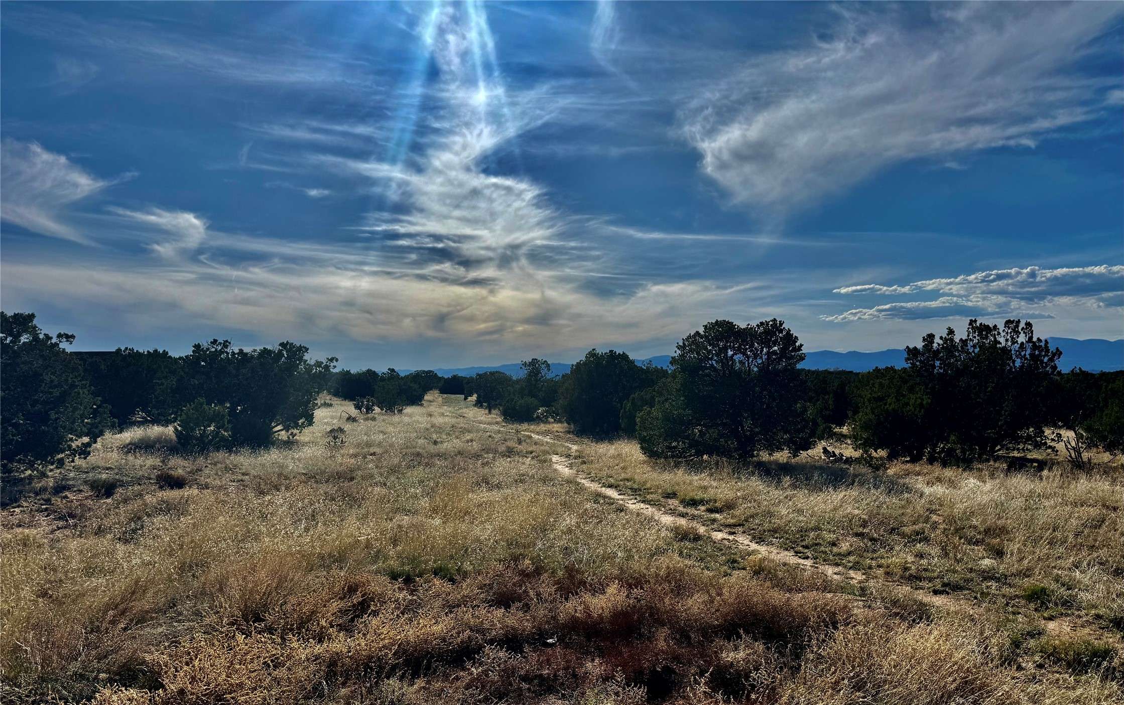 Santa Fe, NM 87506,11 Plano Arbolito