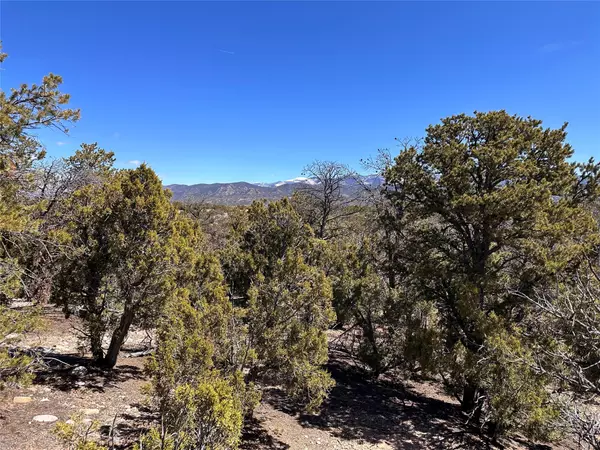 Santa Fe, NM 87506,4024 Via Verdi, Lot 232