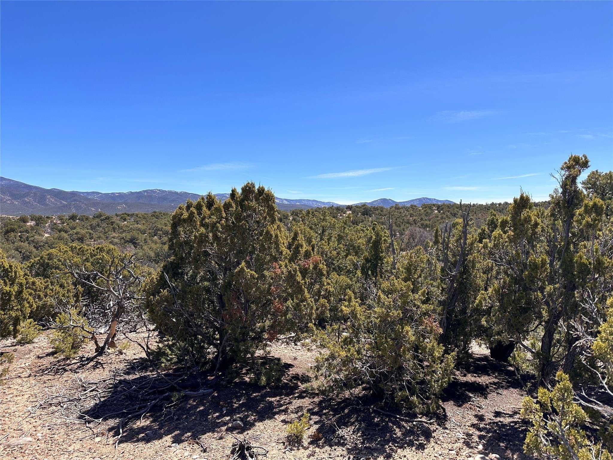 Santa Fe, NM 87506,4020 Via Verdi, Lot 233