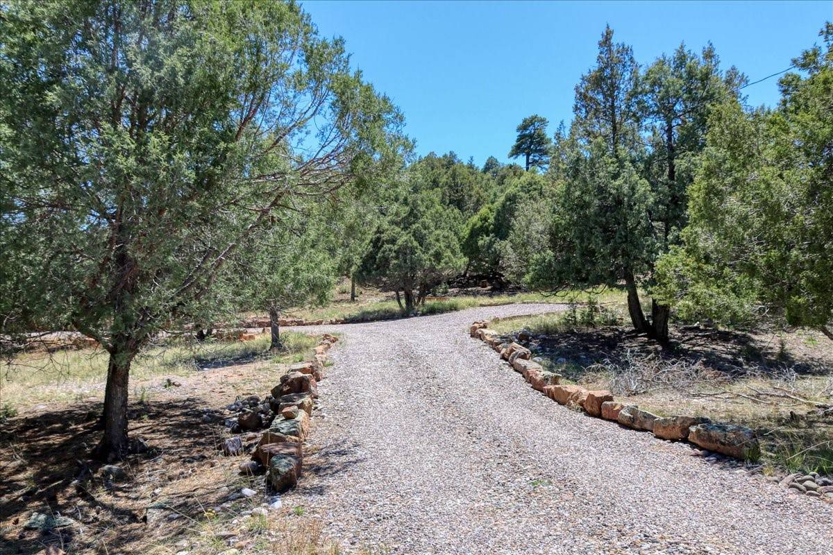 Los Ojos, NM 87551,17 Bobcat Lane