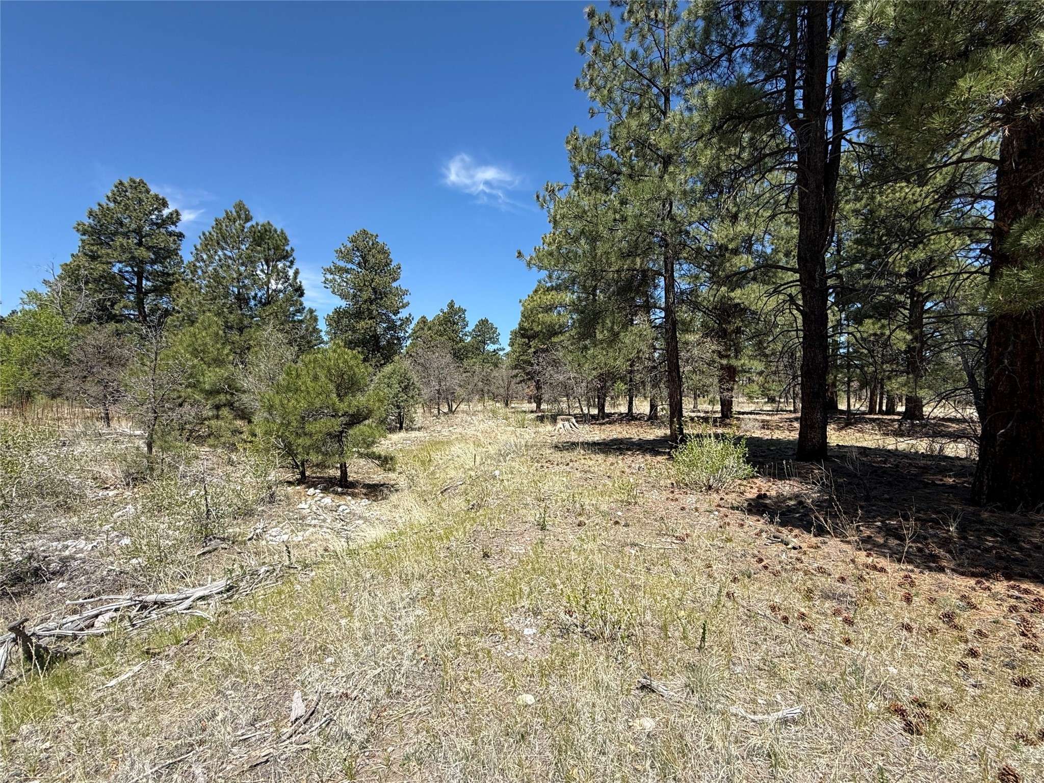 Chama, NM 87520,TBD State Road 512