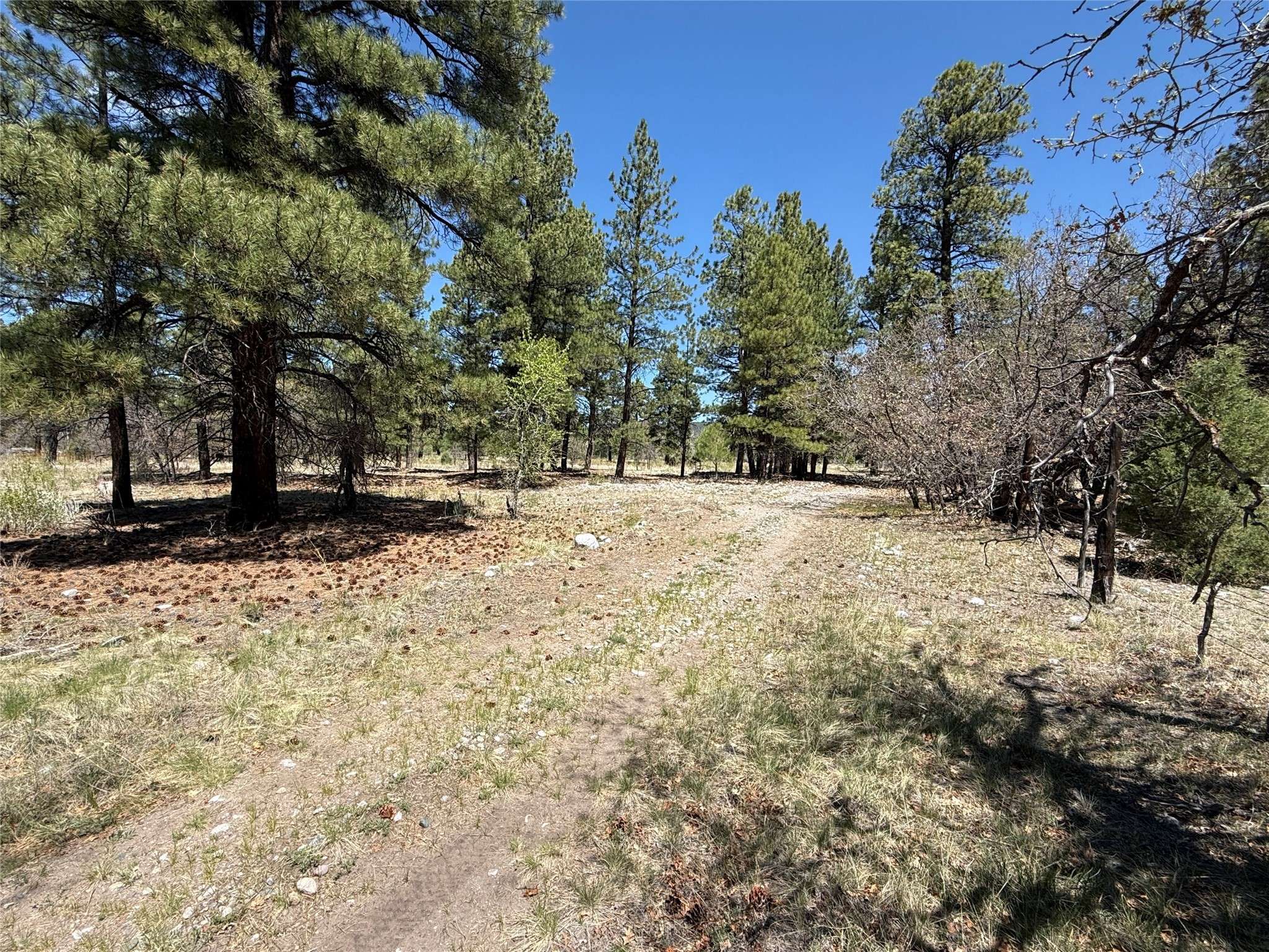 TBD State Road 512, Chama, NM 87520