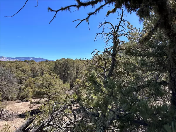 Santa Fe, NM 87506,4025 Via Verdi, Lot 229