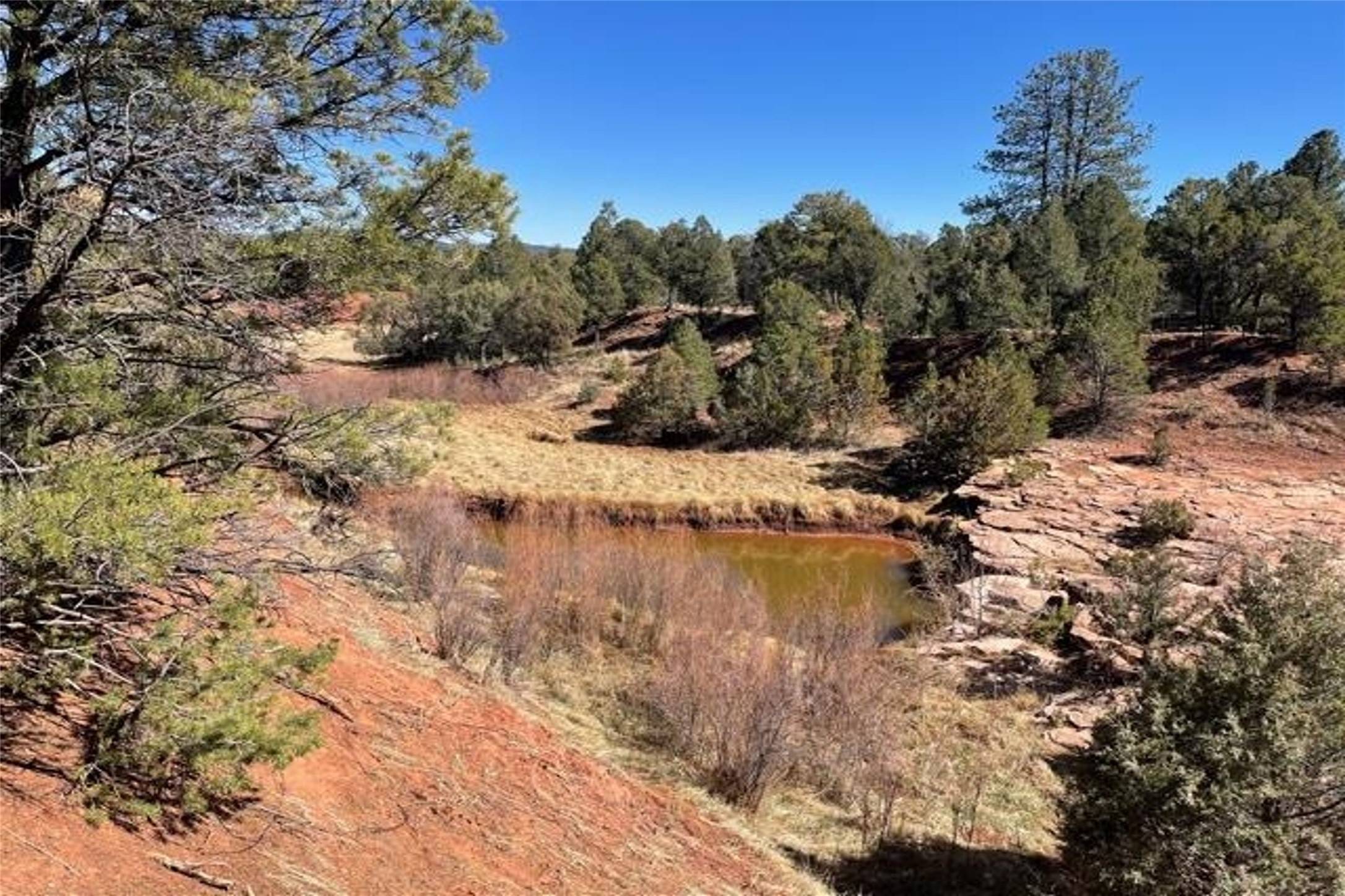 5 F6F Camino Real Loop, Pecos, NM 87552
