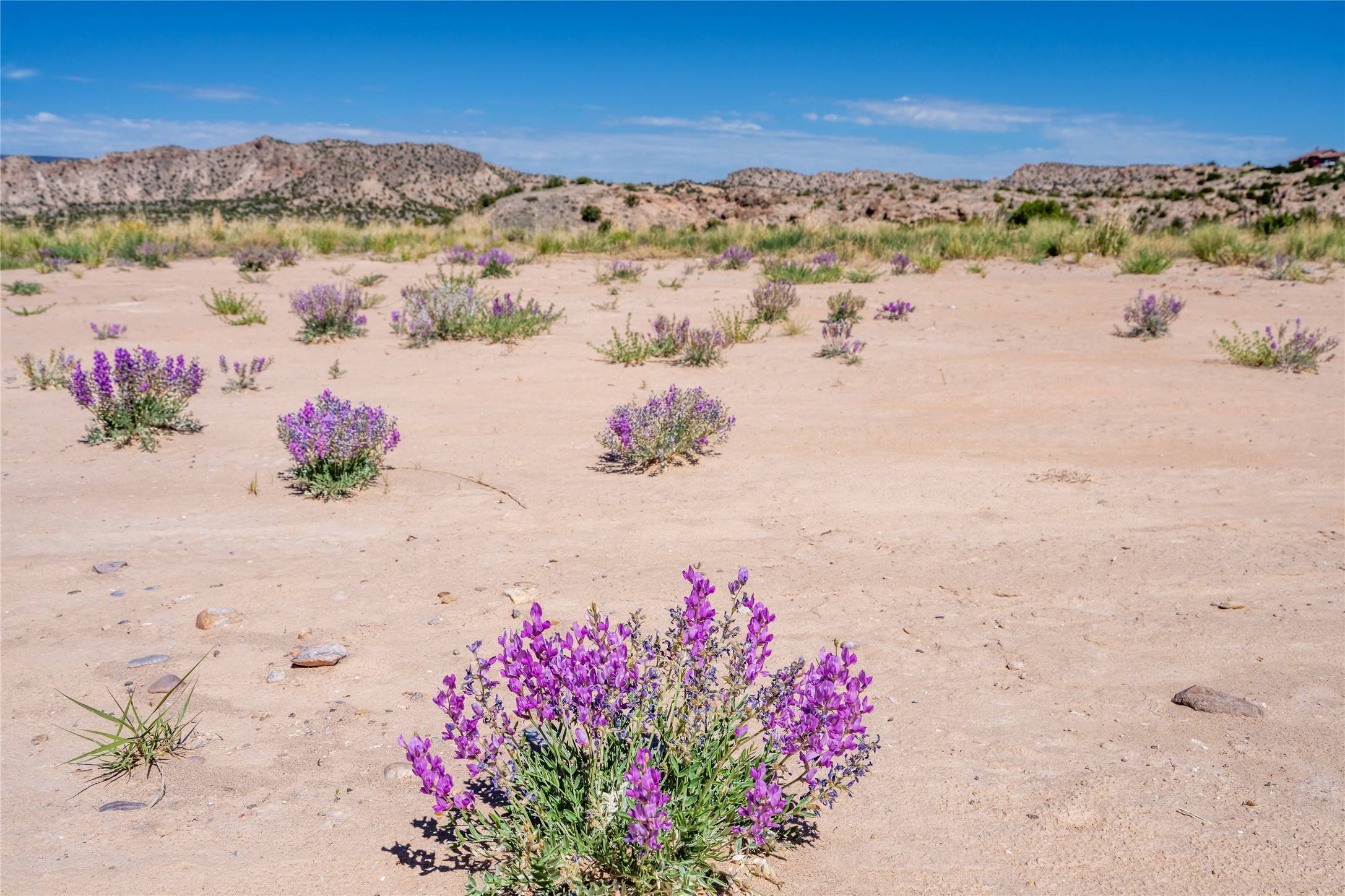 TBD US Highway 285, Ojo Caliente, NM 87549