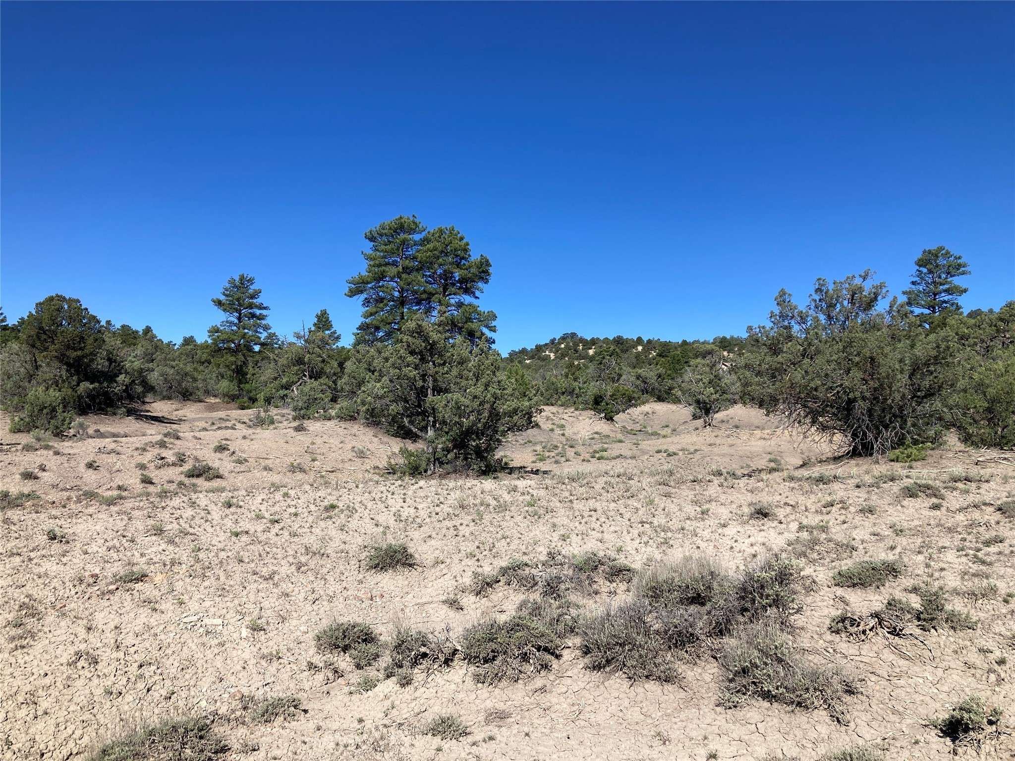 Rutheron, NM 87551,TBD Parkview Hills Lot 28