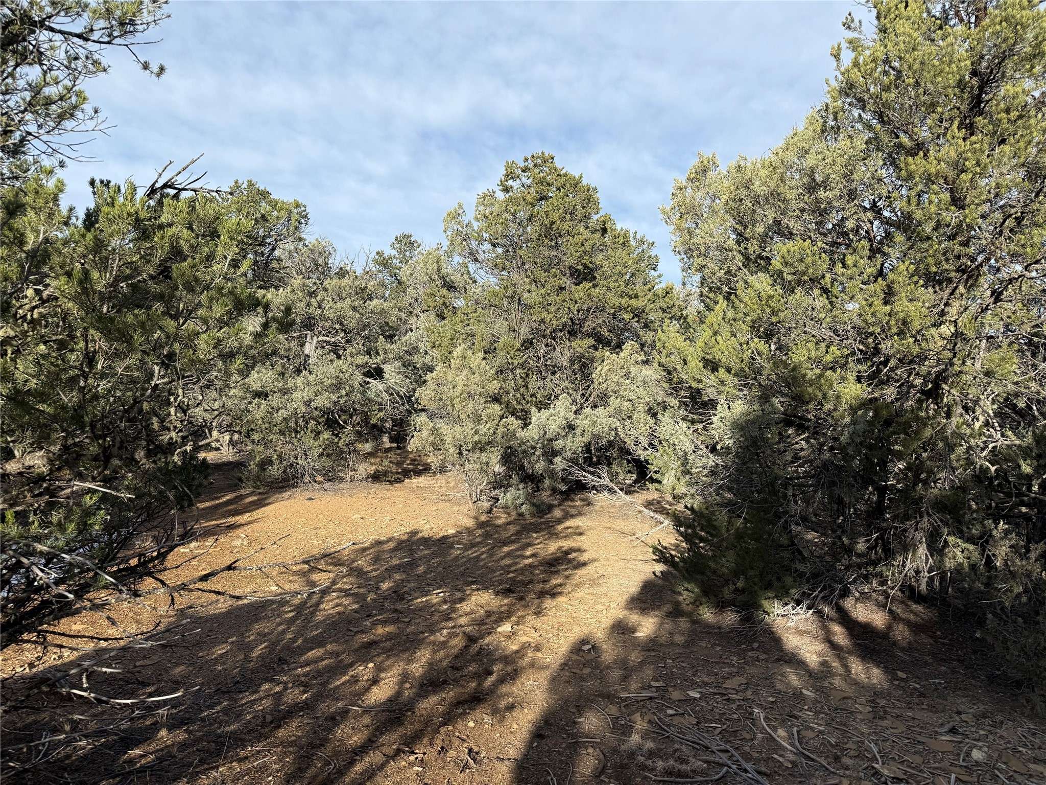 Rutheron, NM 87551,TBD Christy Lane