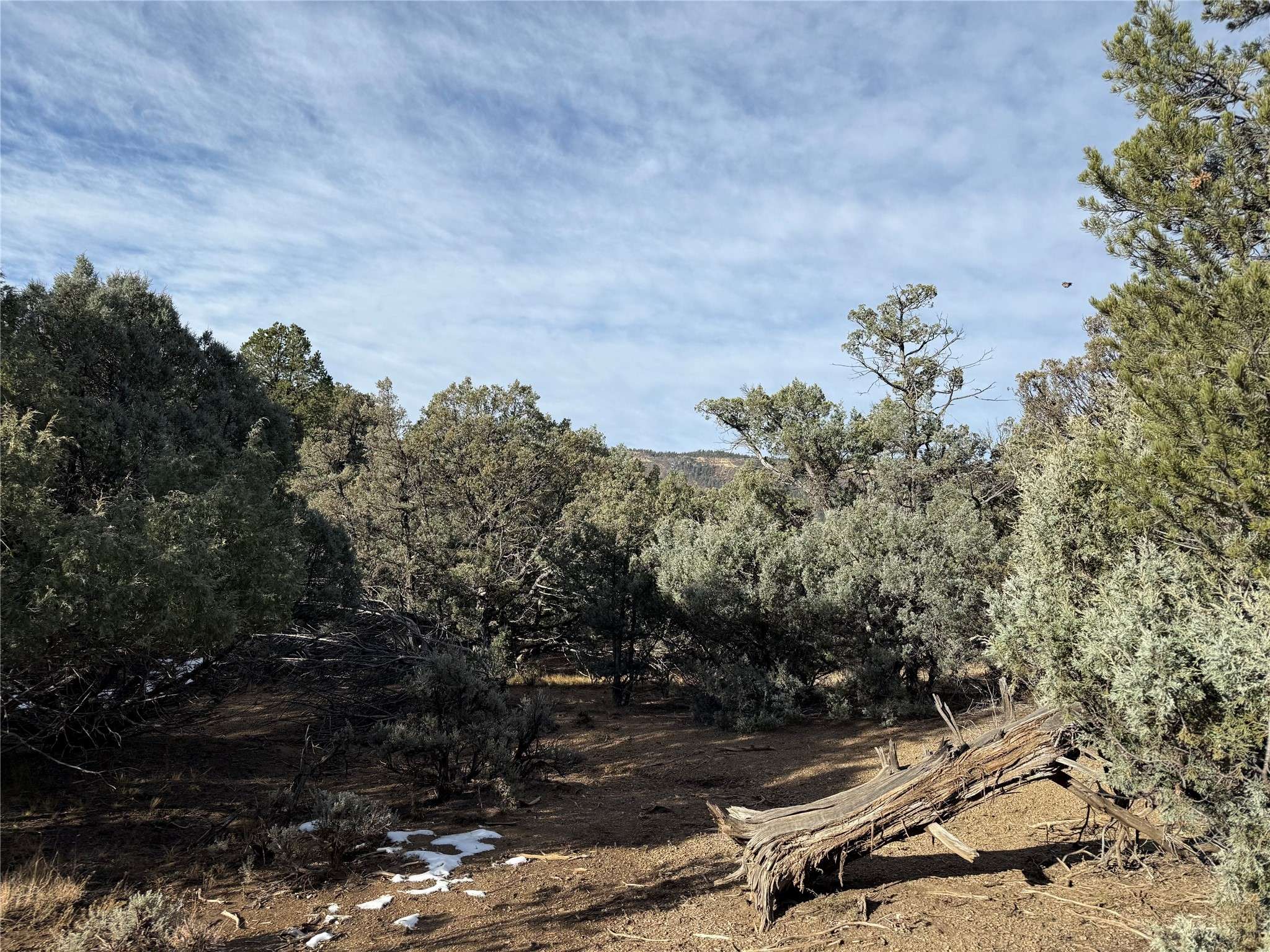 Rutheron, NM 87551,TBD Christy Lane