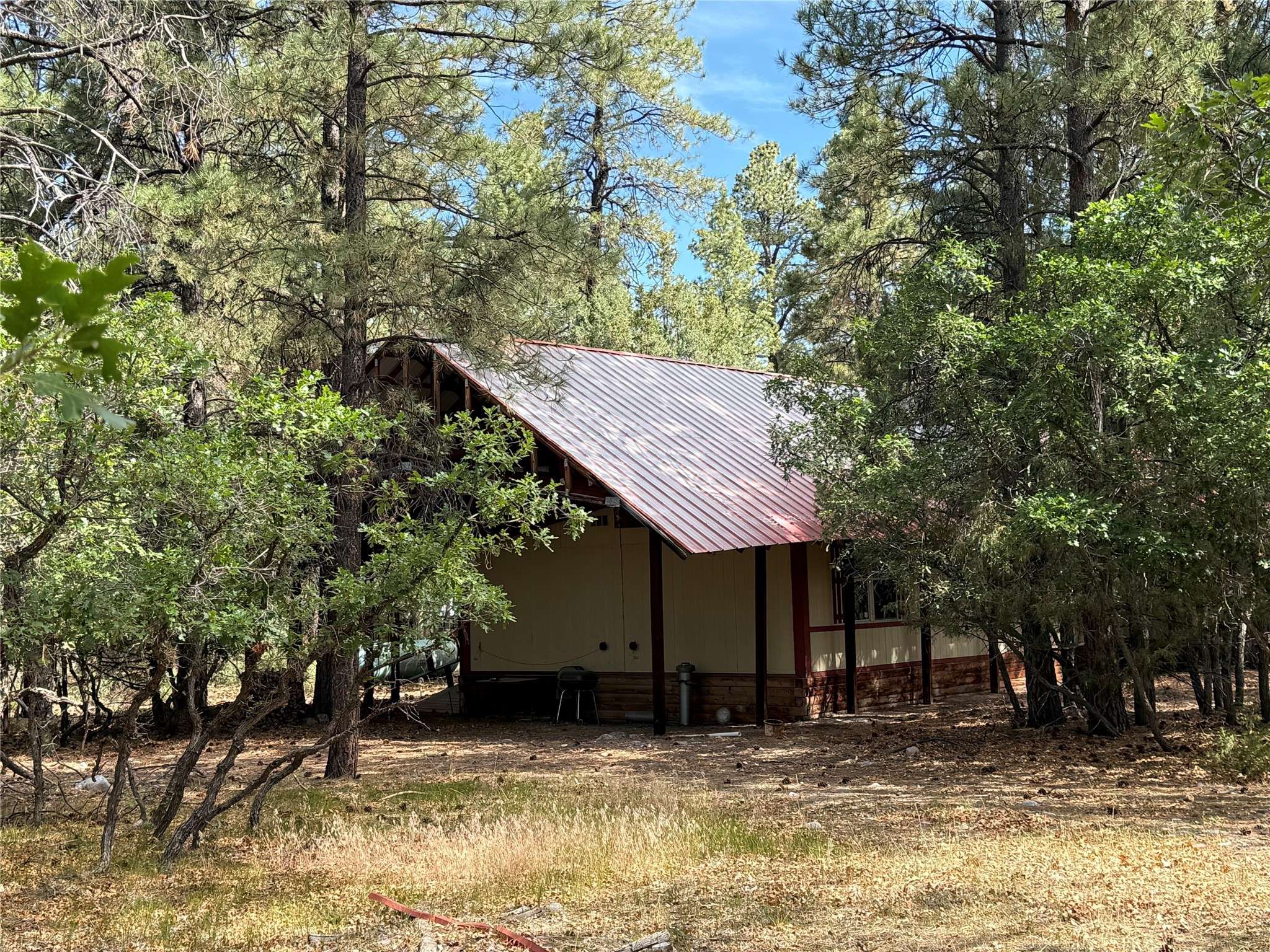 Chama, NM 87520,31 Munday Lane