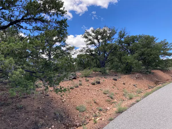 Santa Fe, NM 87505,215 Double Arrow