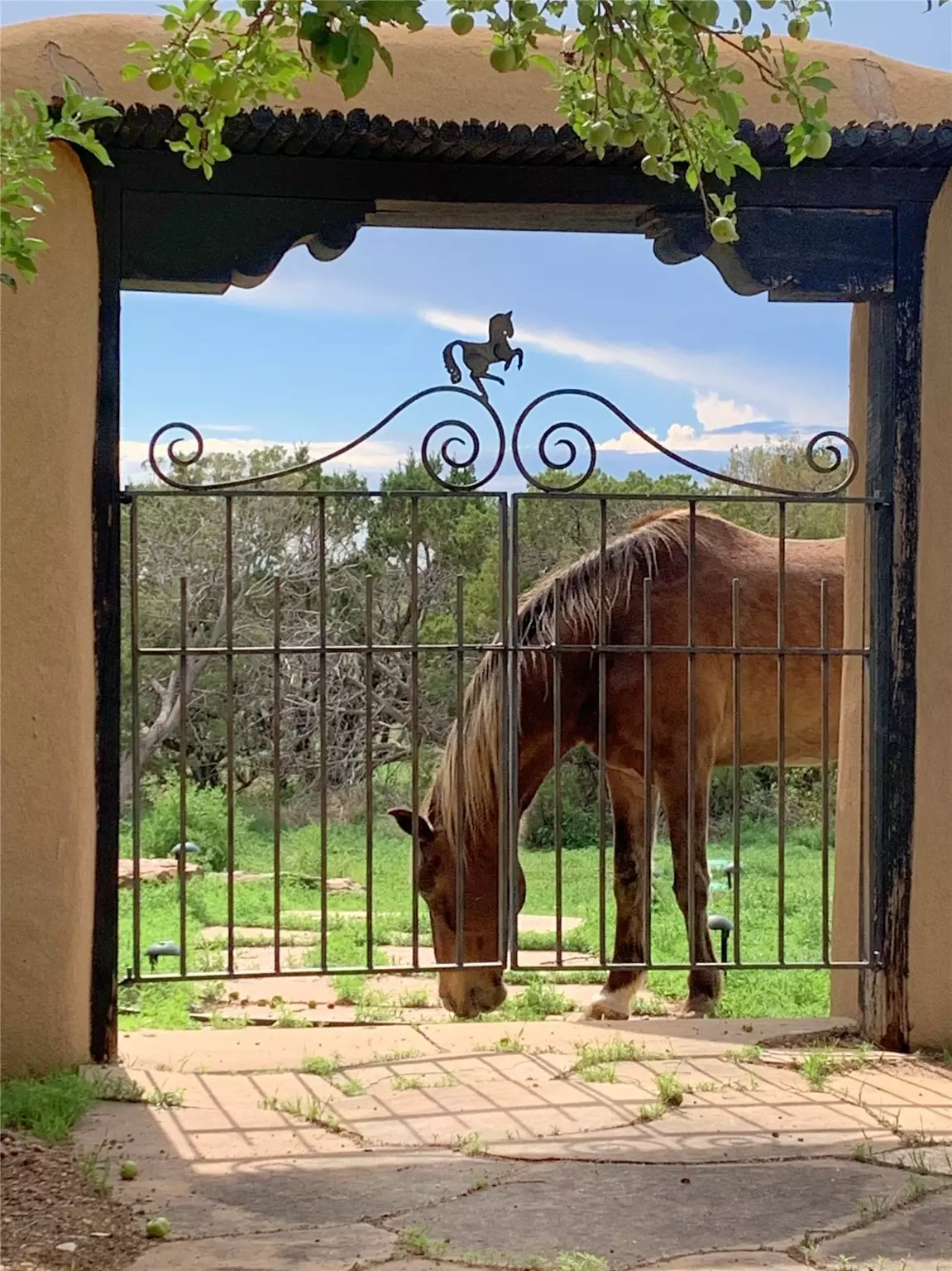 Santa Fe, NM 87508,7 Camino Amansador