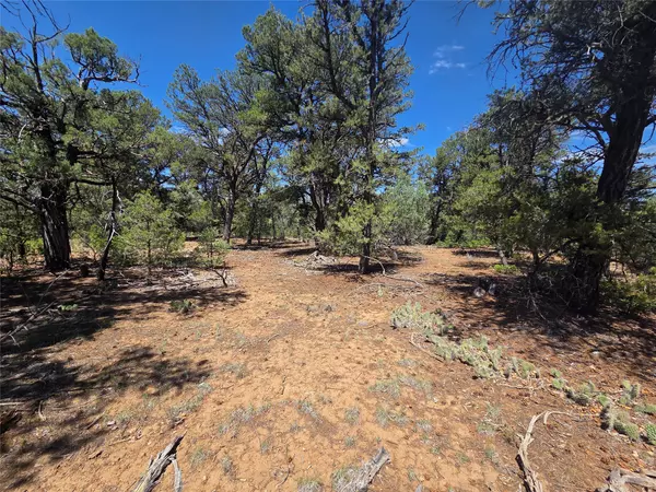 Tierra Amarilla, NM 87575,Lot 16 Unit 4