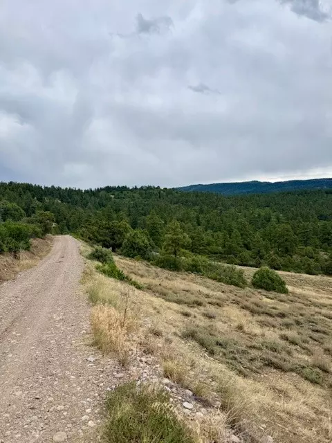 Chama, NM 87520,Unit 5 Tract 1 Private Drive 1783