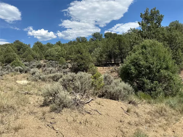 Tierra Amarilla, NM 87575,Lot 34 Unit 4 Talavera SD