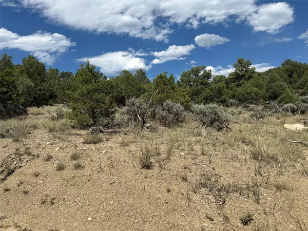Lot 34 Unit 4 Talavera SD, Tierra Amarilla, NM 87575