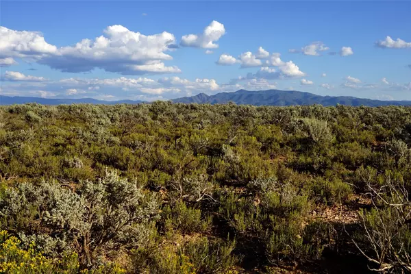 Taos, NM 87517,XX County Road CB-115 & West Rim Road