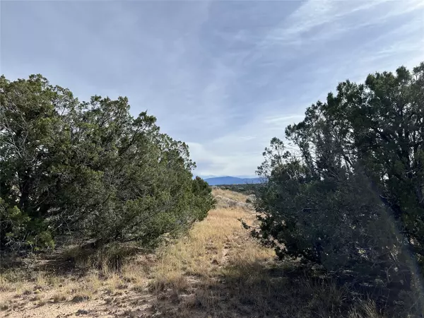 Santa Fe, NM 87506,7 Tierra Vistoso