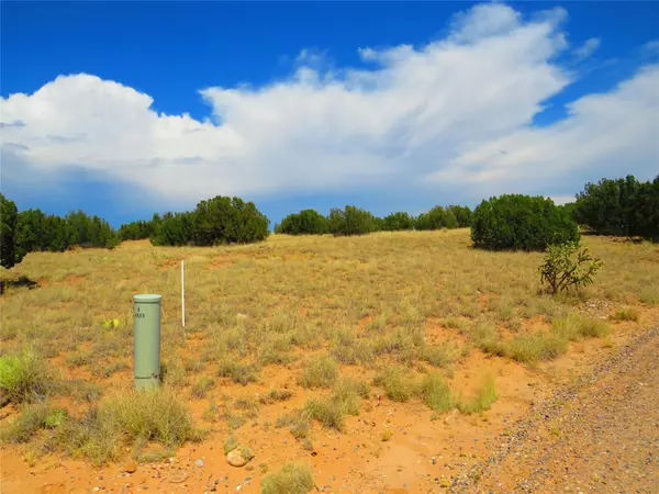Medanales, NM 87548,Lot 6 Private Drive 1613B
