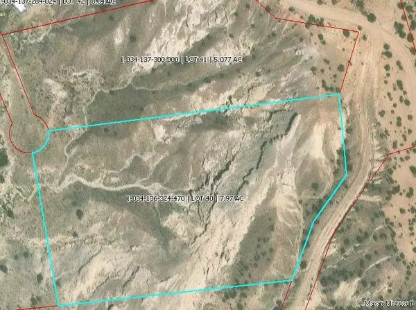 Abiquiu, NM 87510,TBD LOT 40 CR 158, PLAZA BLANCA