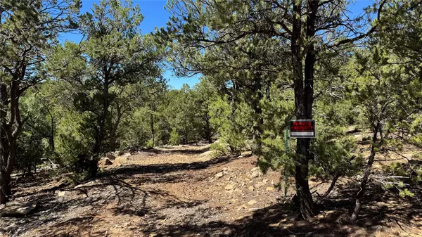 Santa Fe, NM 87501,2395 Camino Del Oso