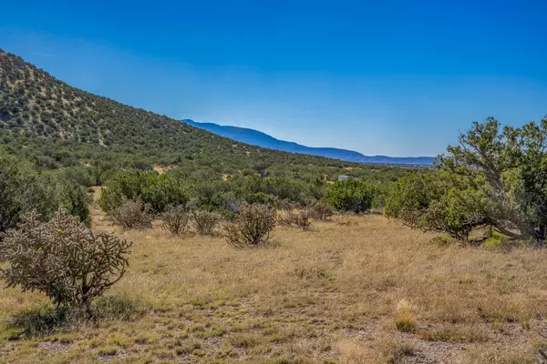 Madrid, NM 87010,2 Trigg