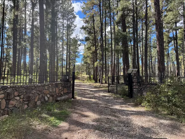 Montezuma, NM 87731,1327-1329 NM Highway 65