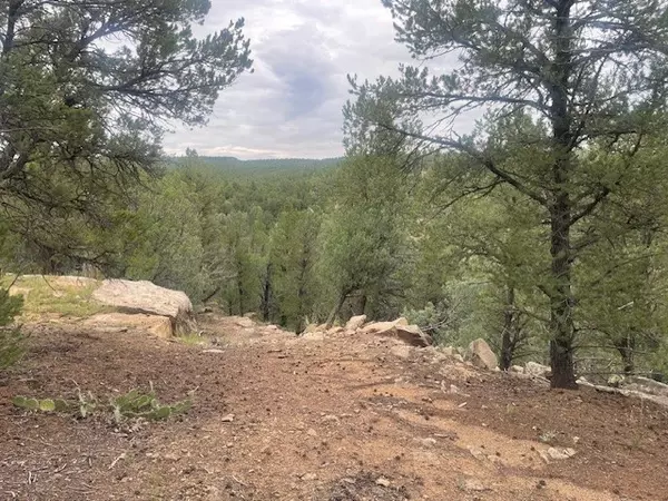 Glorieta, NM 87535,15 Corte Vargas