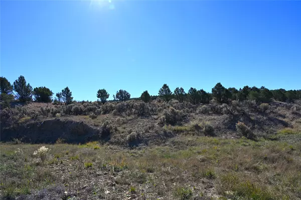 Tierra Amarilla, NM 87575,00 Pecos Dr #Unit7 Tr 266