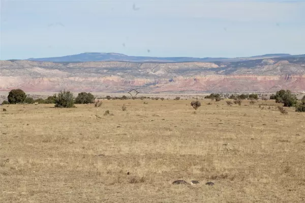 Youngsville, NM 87604,TRACT 5-C LA JOYA - NM 96