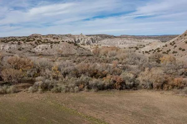 Abiquiu, NM 87510,TBD CR 155