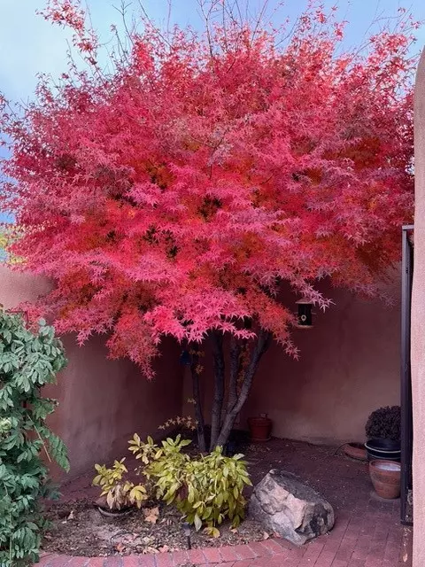 Albuquerque, NM 87111,6123 Casa de Vida NE