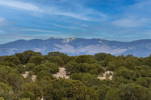 Santa Fe, NM 87506,31 Chocolate Flower CIR