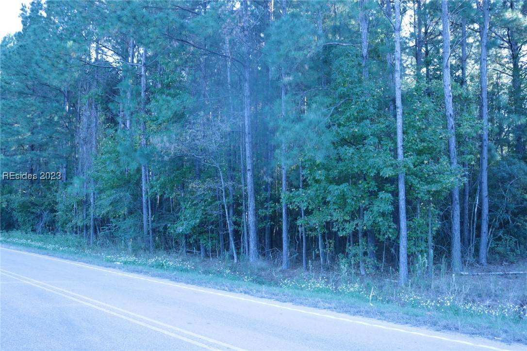 Ridgeland, SC 29936,792 Strobhart RD